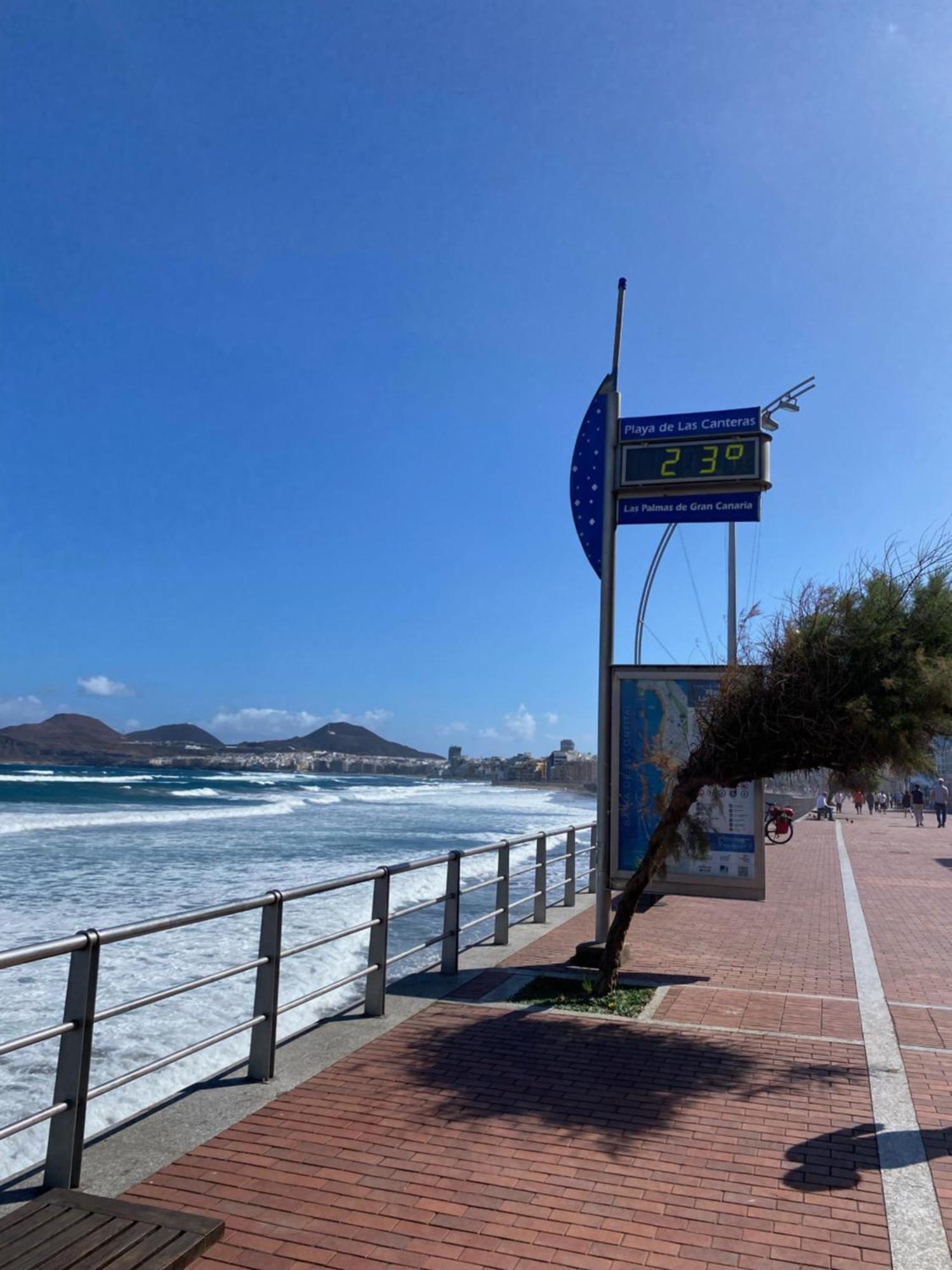 Loft Santa Catalina Park Lejlighed Las Palmas de Gran Canaria Eksteriør billede